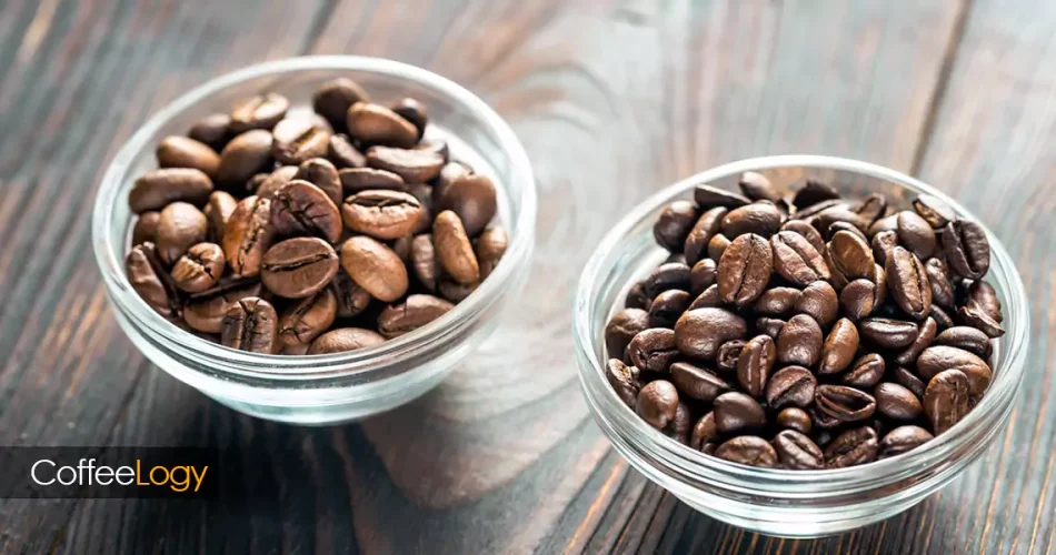 بهترین ترکیب قهوه عربیکا و روبوستا