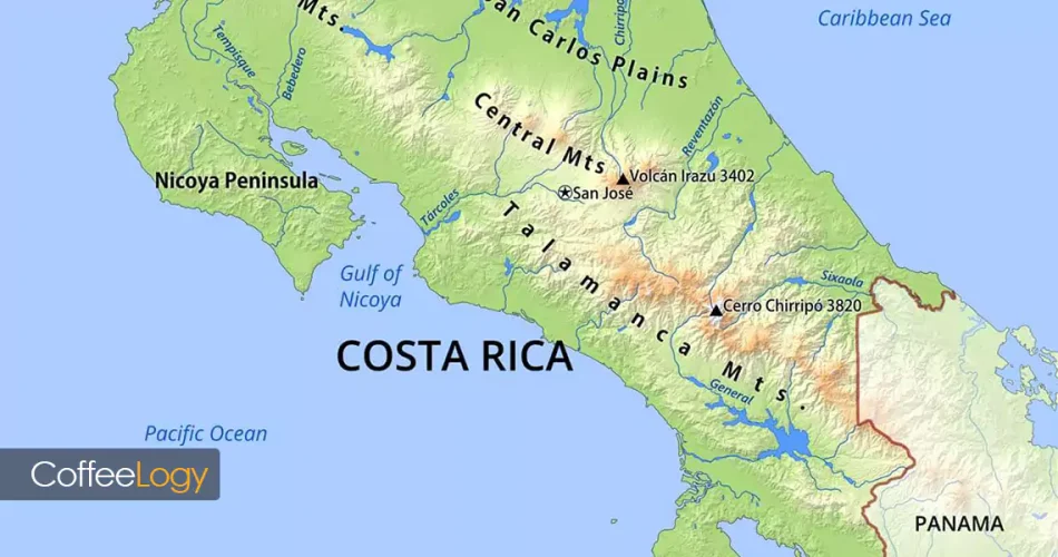 قهوه کاستاریکا