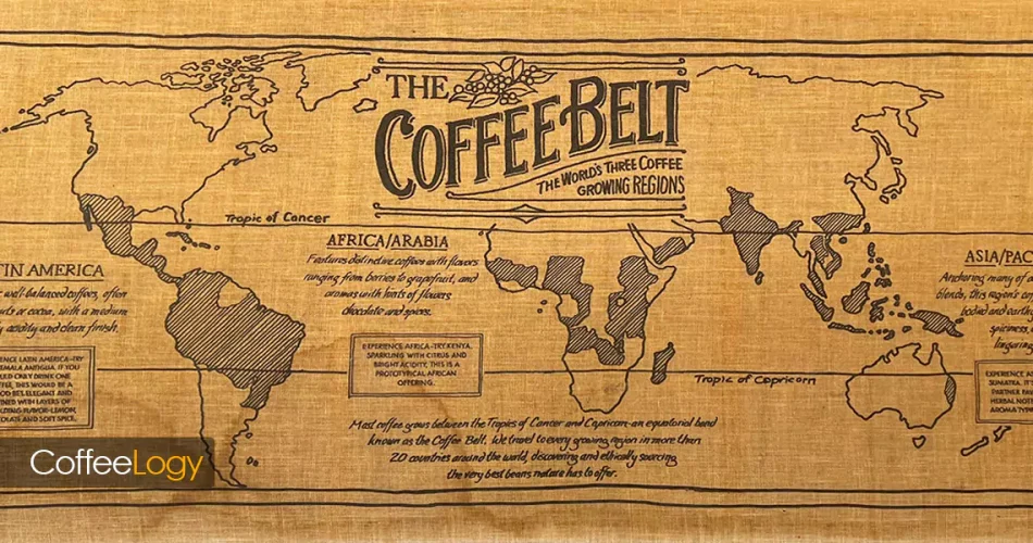 کمربند جهانی قهوه؛ جغرافیا اقلیم ارتفاع و تنوع عربیکا روبوستا