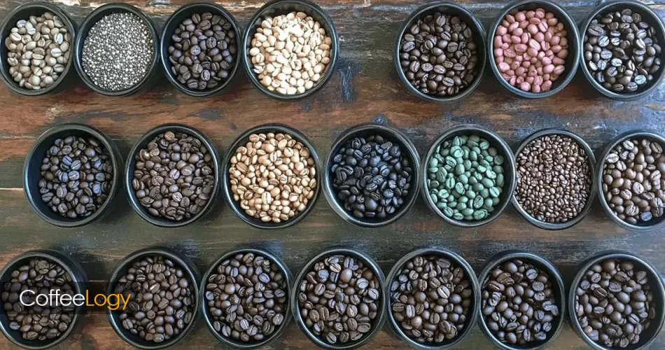 تصویر دانه‌های قهوه گورمت اسپشیالتی، بسته‌بندی شفاف، رست مدیوم تازه