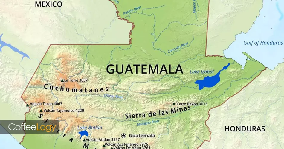 خرید قهوه گواتمالا