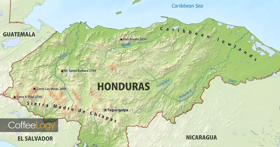 قهوه هندوراس