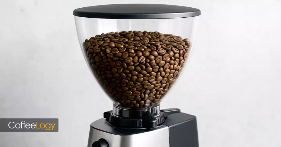 هاپر آسیاب قهوه با مخزن شفاف ضد UV در کافه