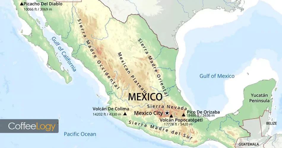 قهوه مکزیک