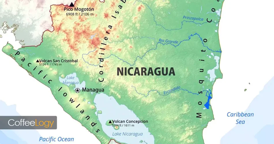 قهوه نیکاراگوئه