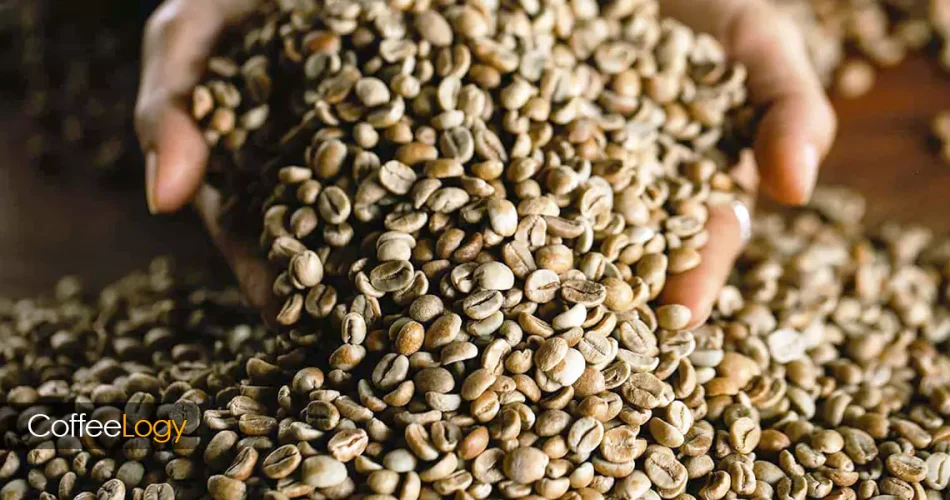 قهوه‌ تک خاستگاه؛ راهنمای کامل خاستگاه قهوه (Origin)