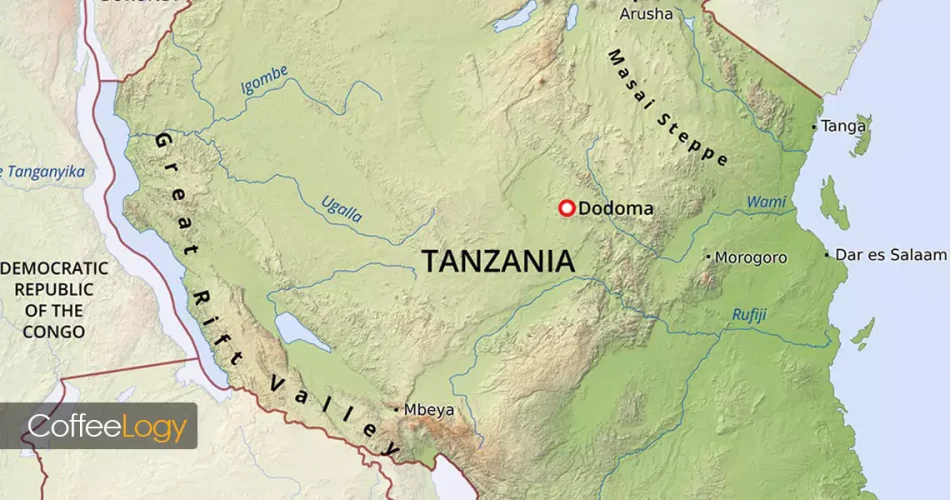 قهوه تانزانیا پی‌بری شسته طعم مرکبات کارامل کلیمانجارو خرید