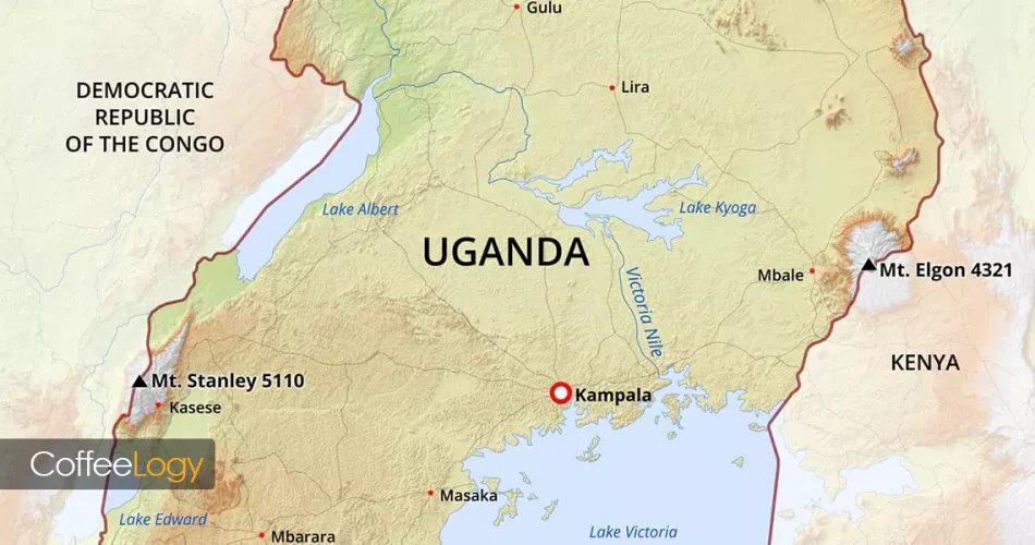 قهوه اوگاندا