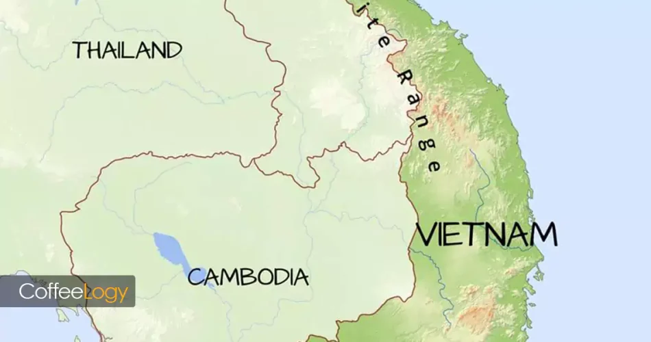 قهوه ویتنام