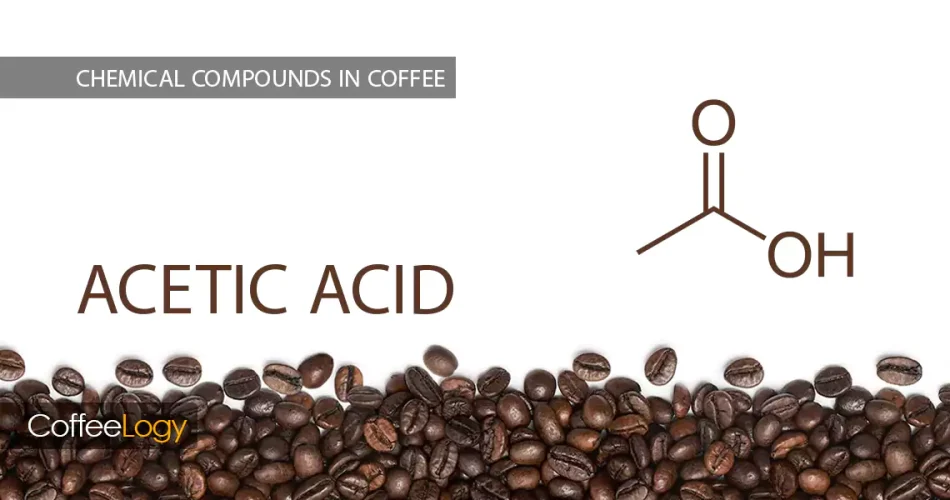 اسید استیک در قهوه تخمیر کنترل شده اسیدیته تمیز قهوه شسته