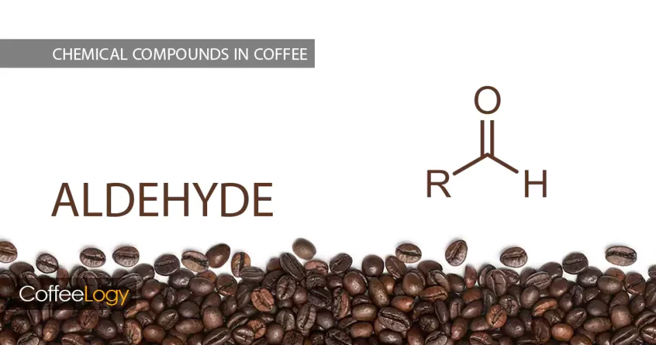 آلدئیدها در قهوه؛ سیترال، بنزآلدئید، هگزانال، نُت میوه‌ای شفاف