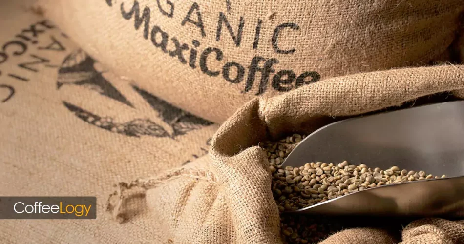 میزان کافئین قهوه در کشورها ترُوار فرآوری عربیکا روبوستا اسپرسو