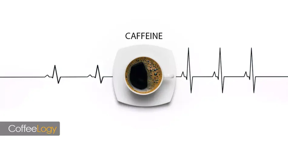 اثر کافئین قهوه بر قلب؛ مقایسه اسپرسو، فیلترکاغذی، فوری و دکا‌ف