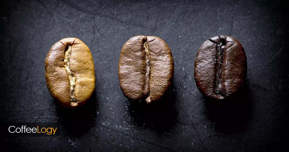 کافئین دانه قهوه