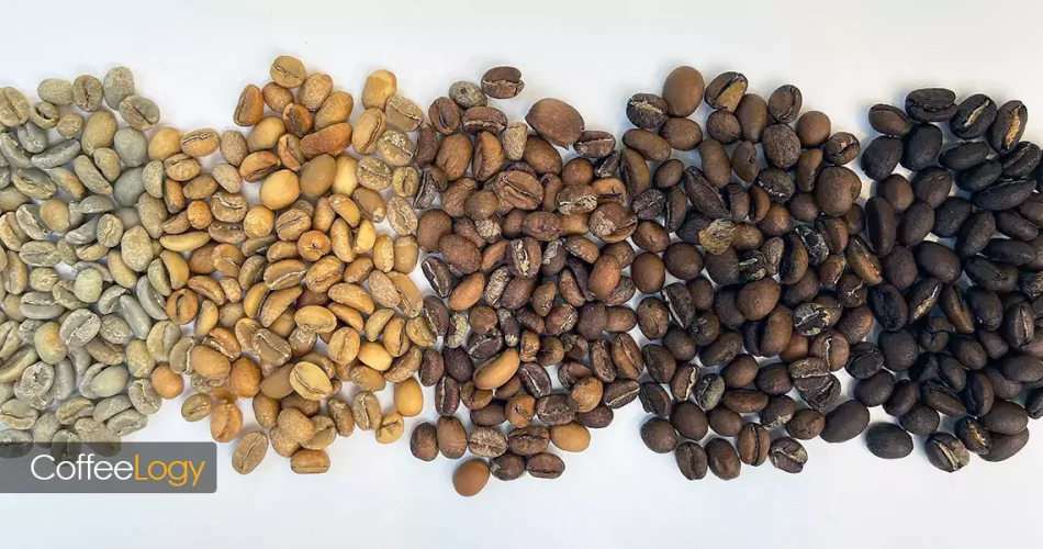 میزان کافئین قهوه بر اساس رست؛ مقایسه وزن‌محور و قاشق‌محور در دم‌آوری