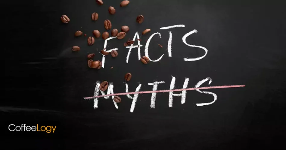 کافئین قهوه؛ راهنمای علمی میزان کافئین، اسپرسو، دمی، کلدبرو، دکاف