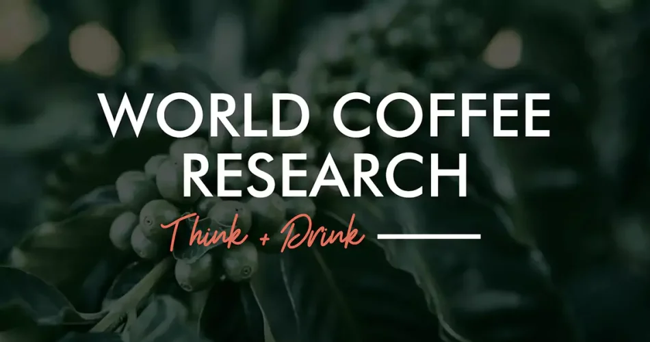 تحقیقات ۲۰۲۵ کافئین قهوه زمان‌بندی صبح، قهوه سیاه، کلدبرو سریع، دکاف