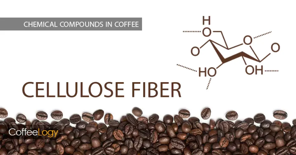 سلولز در قهوه ساختار دانه و فیبرها، بادی و تخلخل رُست