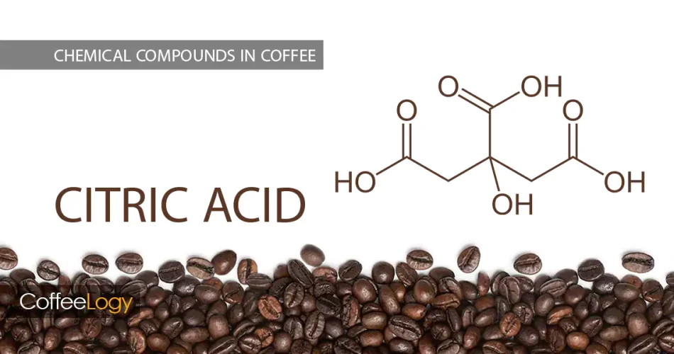 اسید سیتریک در قهوه لیموییِ روشن، اتیوپی شسته، پوراور، رست متوسط