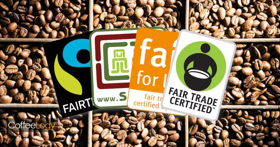 دایرکت ترید قهوه؛ خرید مستقیم، شفافیت منبع، کیفیت تخصصی، فیرتریْد، ارگانیک