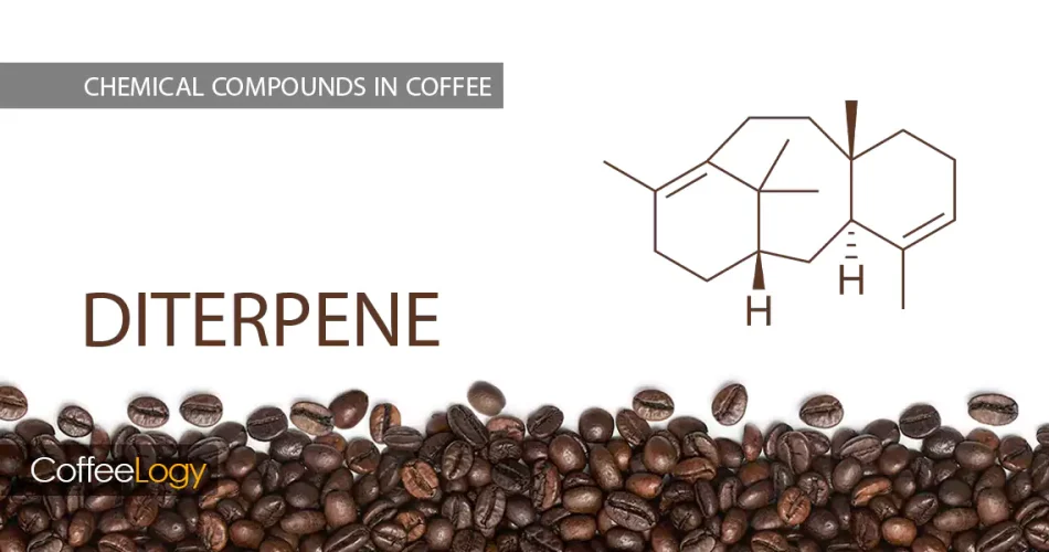 دی ترپن ها در قهوه کافستول کاهوئول کلسترول فیلتر کاغذی فیلتر فلزی اسپرسو فرنچ‌پرس پوراور