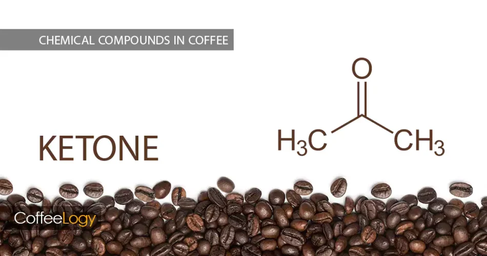 کتون ها در قهوه رایحه کره‌ای دودی دی‌استیل استویین رُست میانه