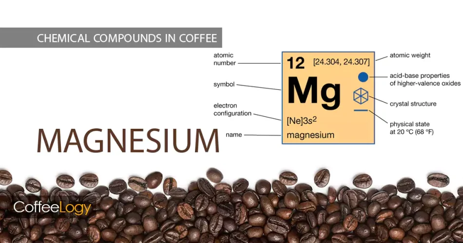 منیزیم در قهوه؛ Mg-ATP، انرژی بدن، اسپرسو، قهوه فیلتر، کلدبرو