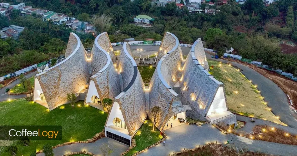 موزه قهوه جهان، دبی استانبول وین تور قهوه تاریخ و فرهنگ