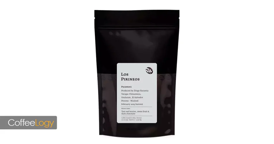 خرید دانه قهوه پاکامارا برای اسپرسو و فیلتری؛ شسته/طبیعی، ارتفاع بالا