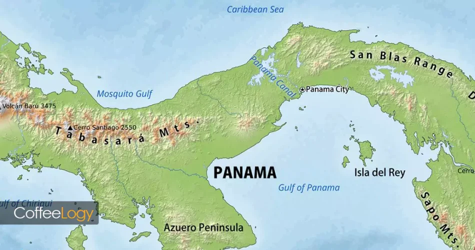 قهوه پاناما