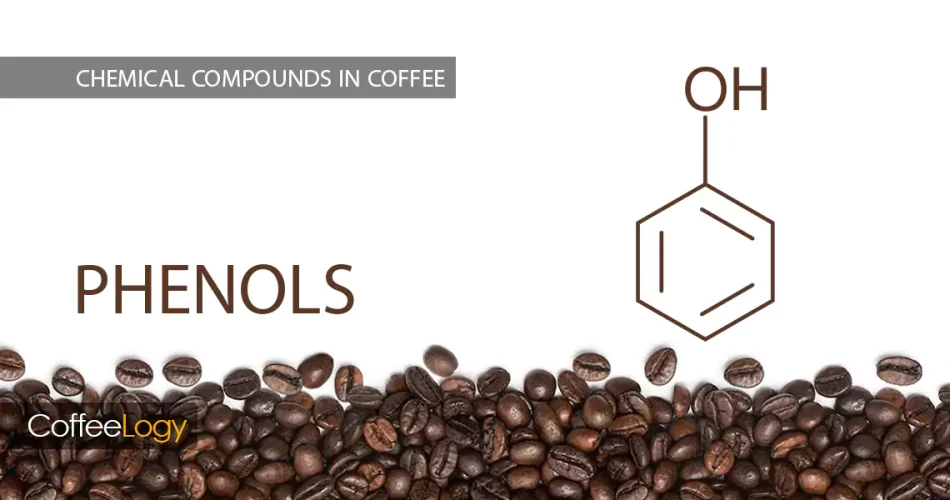 فنول ها در قهوه رایحه دودی ادویه‌ای گوایکول سیرینگول ۴-وینیل‌گوایکول