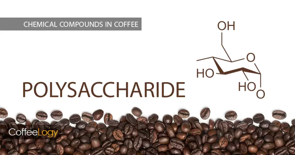 پلی ساکاریدها در قهوه بادی قهوه مانان‌ها آرابینوگالاکتان‌ها فیلتر اسپرسو