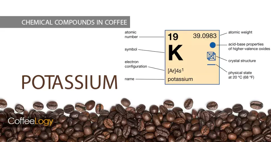 پتاسیم در قهوه؛ میزان پتاسیم قهوه فیلتر و اسپرسو