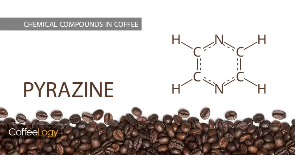 پیرازین ها در قهوه، عطر مغزی شکلاتی میلارد رُست فیلتر اسپرسو