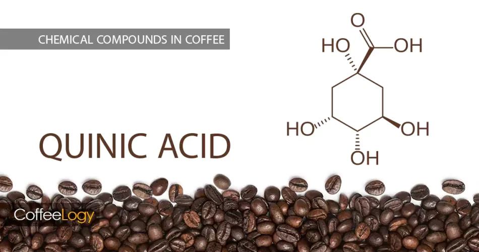 اسید کوئینیک در قهوه تلخی خشک رست تیره اسپرسو بیش‌استخراج