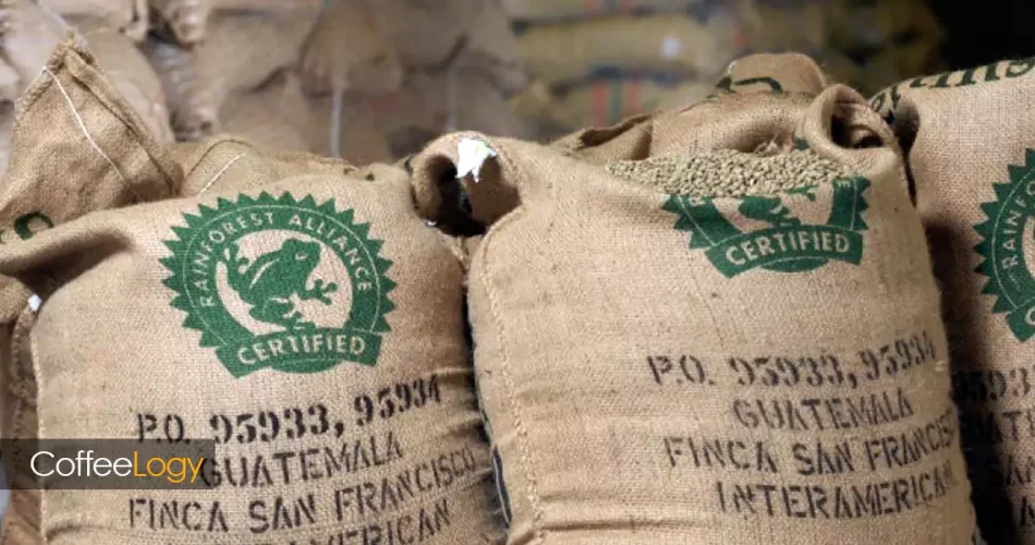 قهوه Rainforest Alliance لوگوی قورباغه سبز پایداری تنوع زیستی حقوق کارگر ردیابی