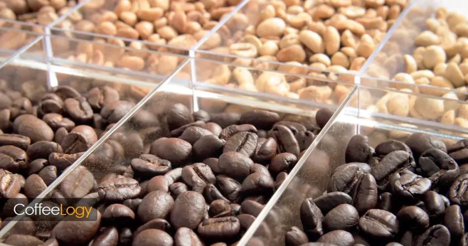 تاثیر رست بر کافئین قهوه؛ رست روشن و تیره در اسپرسو