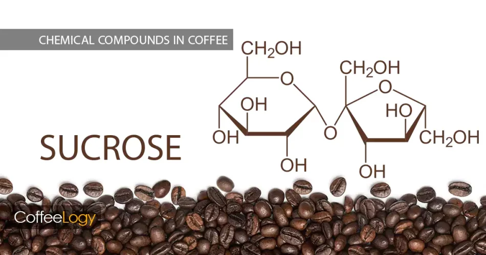 ساکارز در قهوه کاراملیزاسیون میلارد شیرینی طبیعی عربیکا روبوستا فیلتر اسپرسو