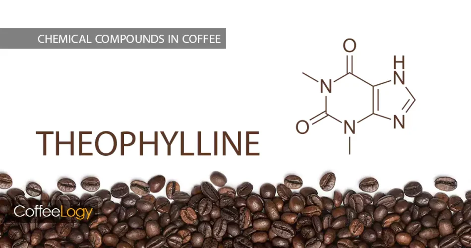 تئوفیلین در قهوه کافئین سیستم تنفسی قلب رست متوسط اسپرسو فیلتری