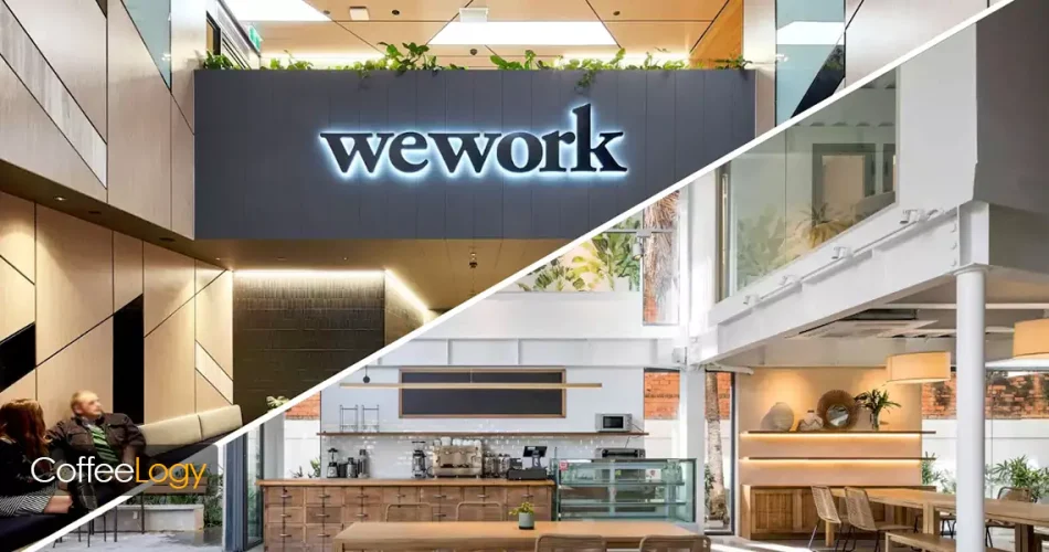قهوه و WeWork؛ نقش کافه نشینی در تولد کوورکینگ مدرن