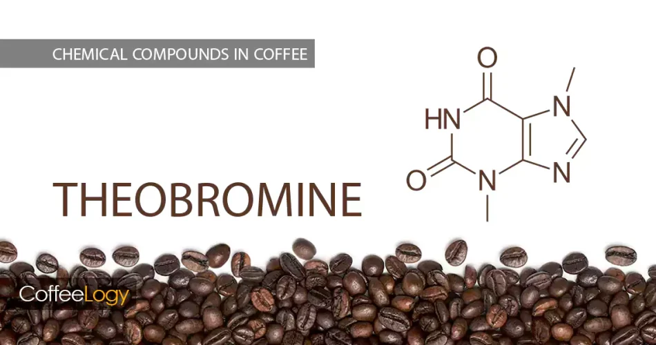 تئوبرومین در قهوه و تلخی شکلاتی، کافئین، عربیکا، رست متوسط